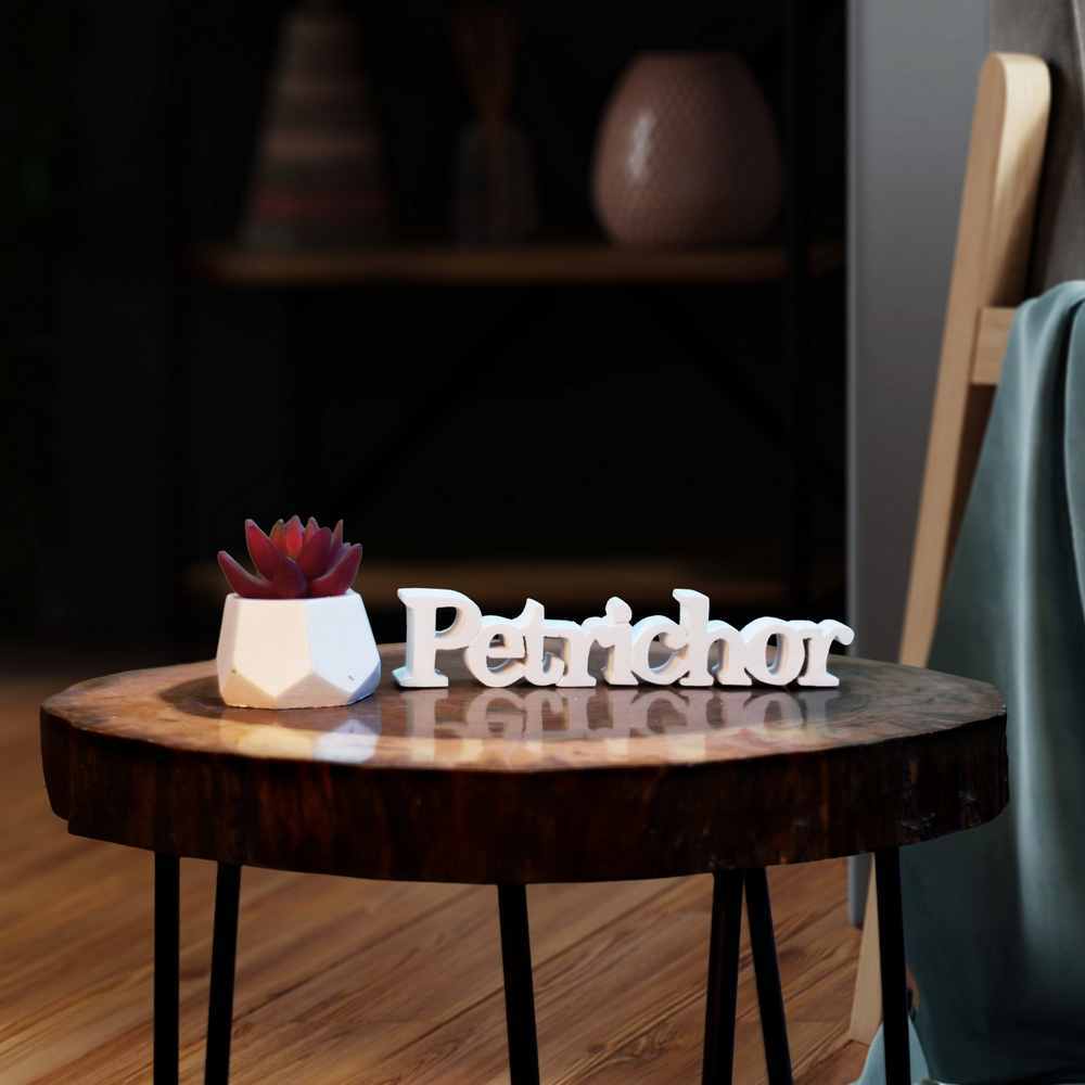 Petrichor