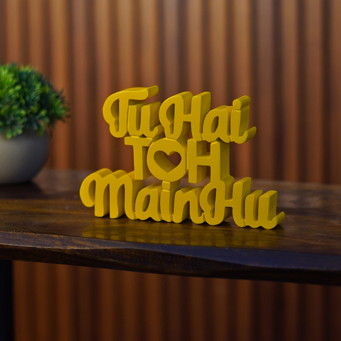 Tu Hai Toh Main Hu