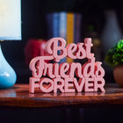 Best Friends Forever