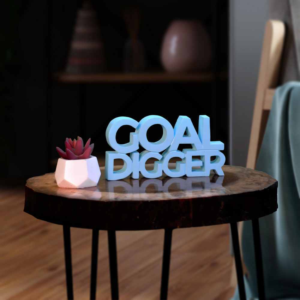 Goal Digger