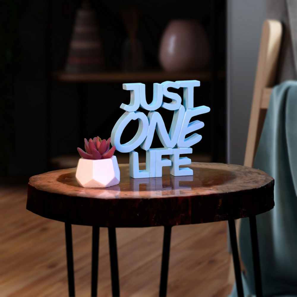 Just One Life
